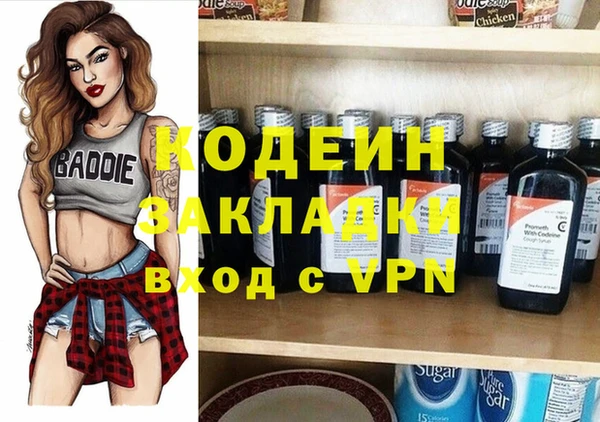 эйфоретик Алзамай