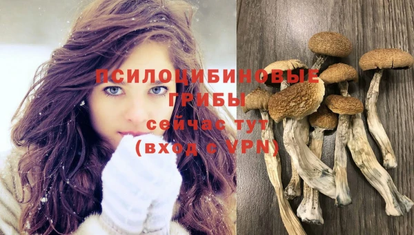 мдпв Арсеньев