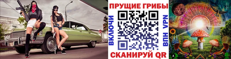 купить   Устюжна  Псилоцибиновые грибы Magic Shrooms 